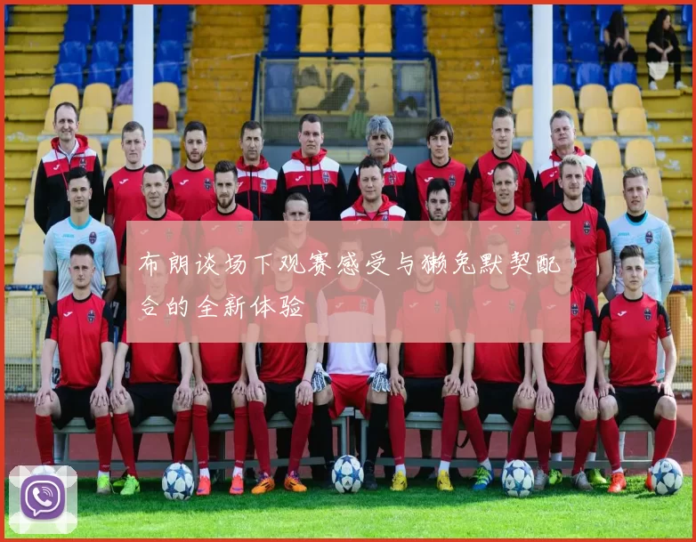布朗谈场下观赛感受与獭兔默契配合的全新体验