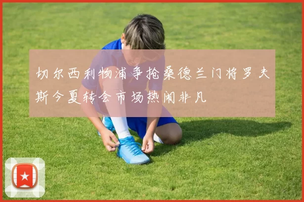 切尔西利物浦争抢桑德兰门将罗夫斯今夏转会市场热闹非凡